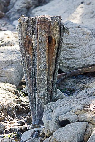 The North Jetty Pockets #7
